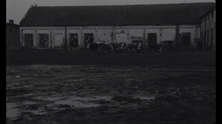 photo_2020-03-21_22-35-46