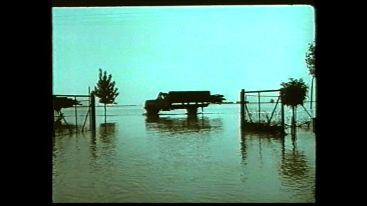 Apa ca un bivol negru