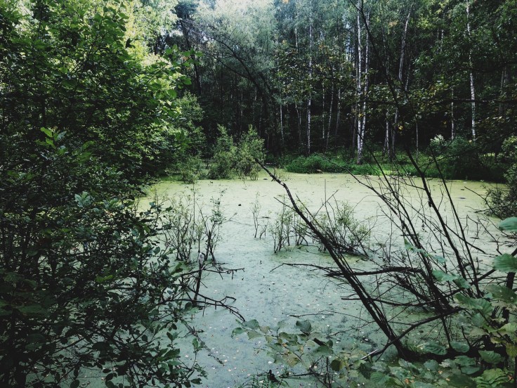 Staro Levino (6) ©Bianca Alecu