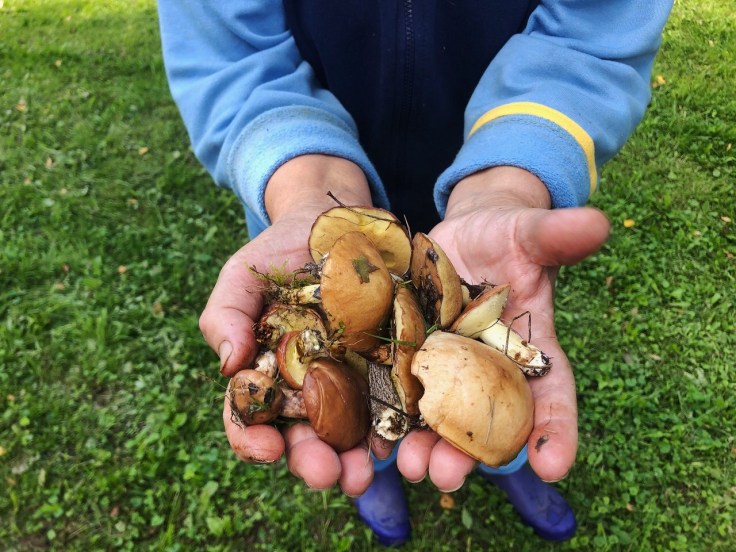 Staro-Levino (2) © Bianca Alecu