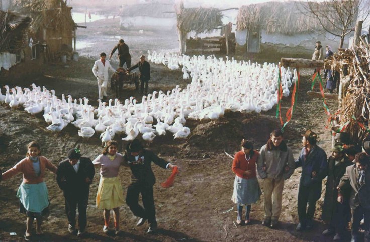 Skupljaci perja - sursa imdb