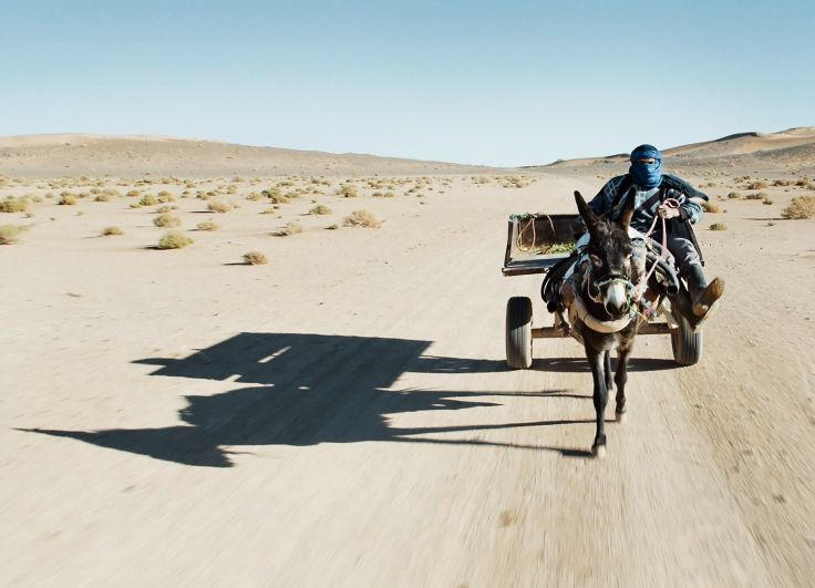 Untitled Sursa foto dafilms